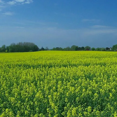 Lägenhet Schule 8 By Interhome