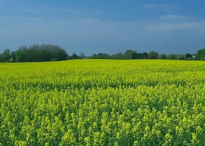 Lägenhet Schule 8 By Interhome